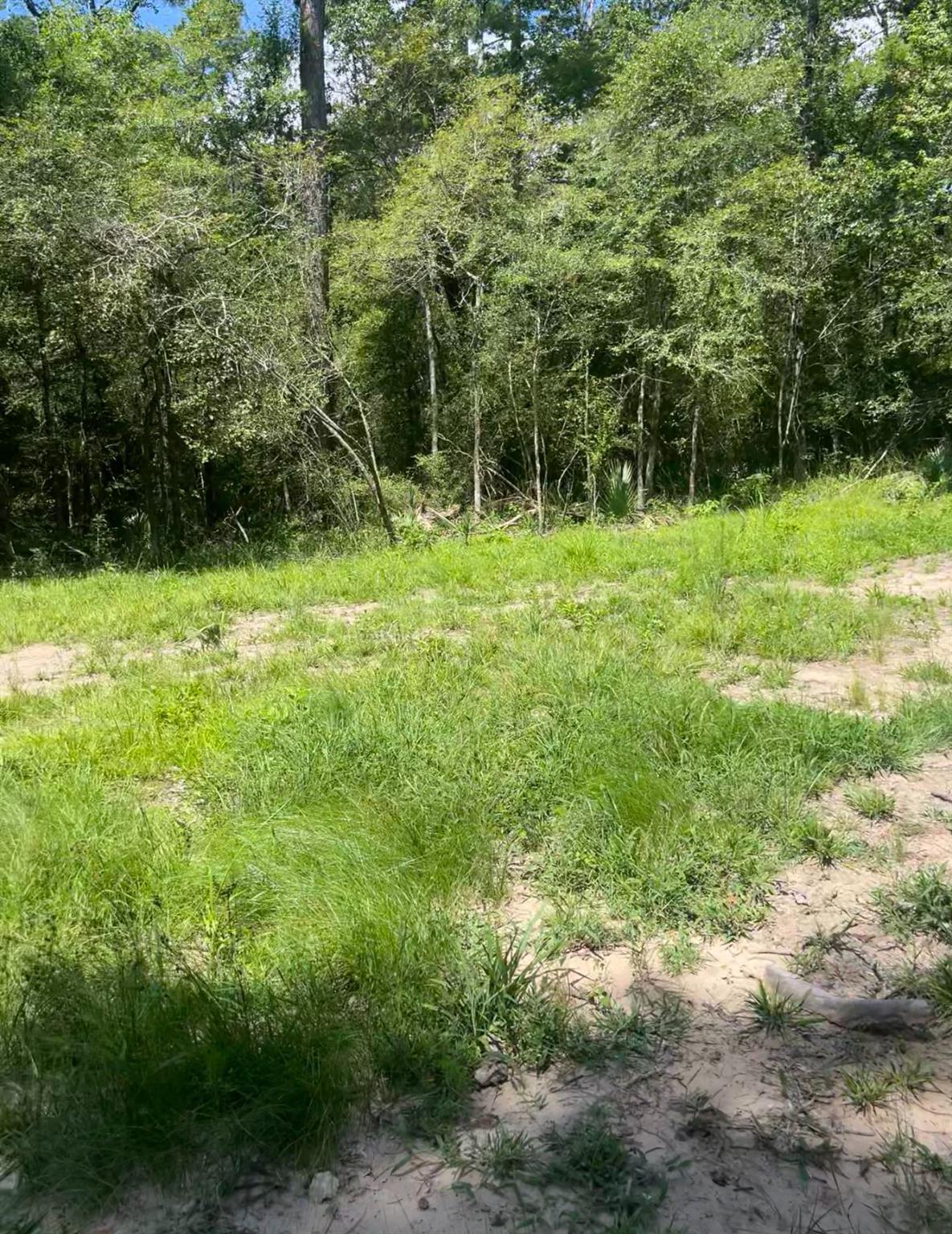 Property Photo: 58 Firewood Road TX 77340