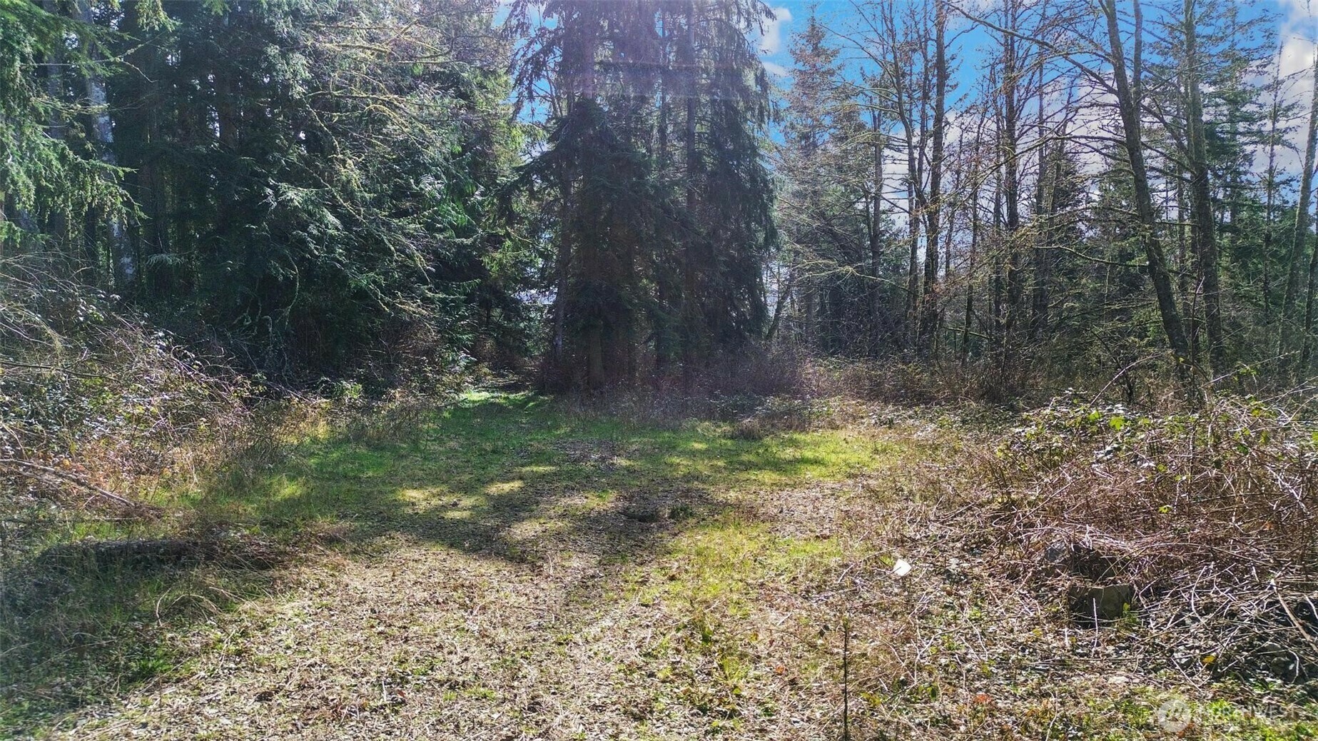 Property Photo: 0 Big Sky Lane WA 98282