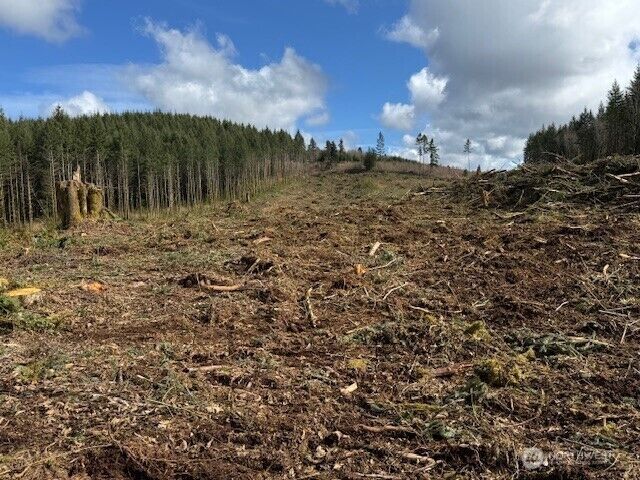 Property Photo: 0 Lot 1 August Road WA 98532