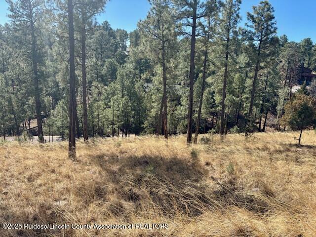 Property Photo: Lot 6 Camino Drive NM 88312
