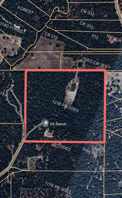 Property Photo: 1218 Private Road 3063 Road TX 78947