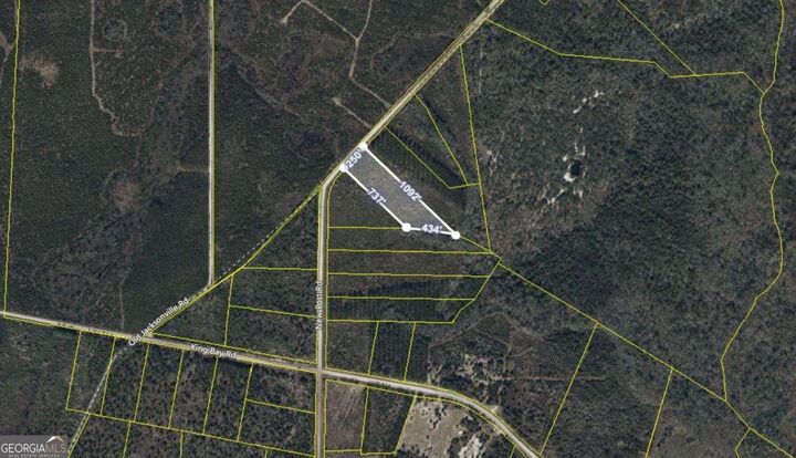 V/L 4 Timberland Estates, New Post Road  Waverly GA 31565 photo