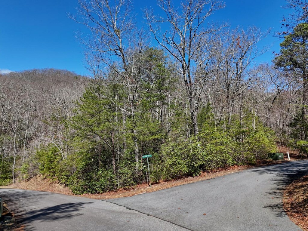 Property Photo: Lot 24 Mission Ridge Court NC 28904