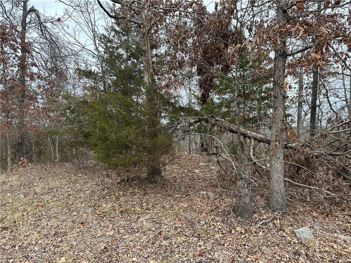 Property Photo: Lot 2 Deer Meadows Lane AR 72687