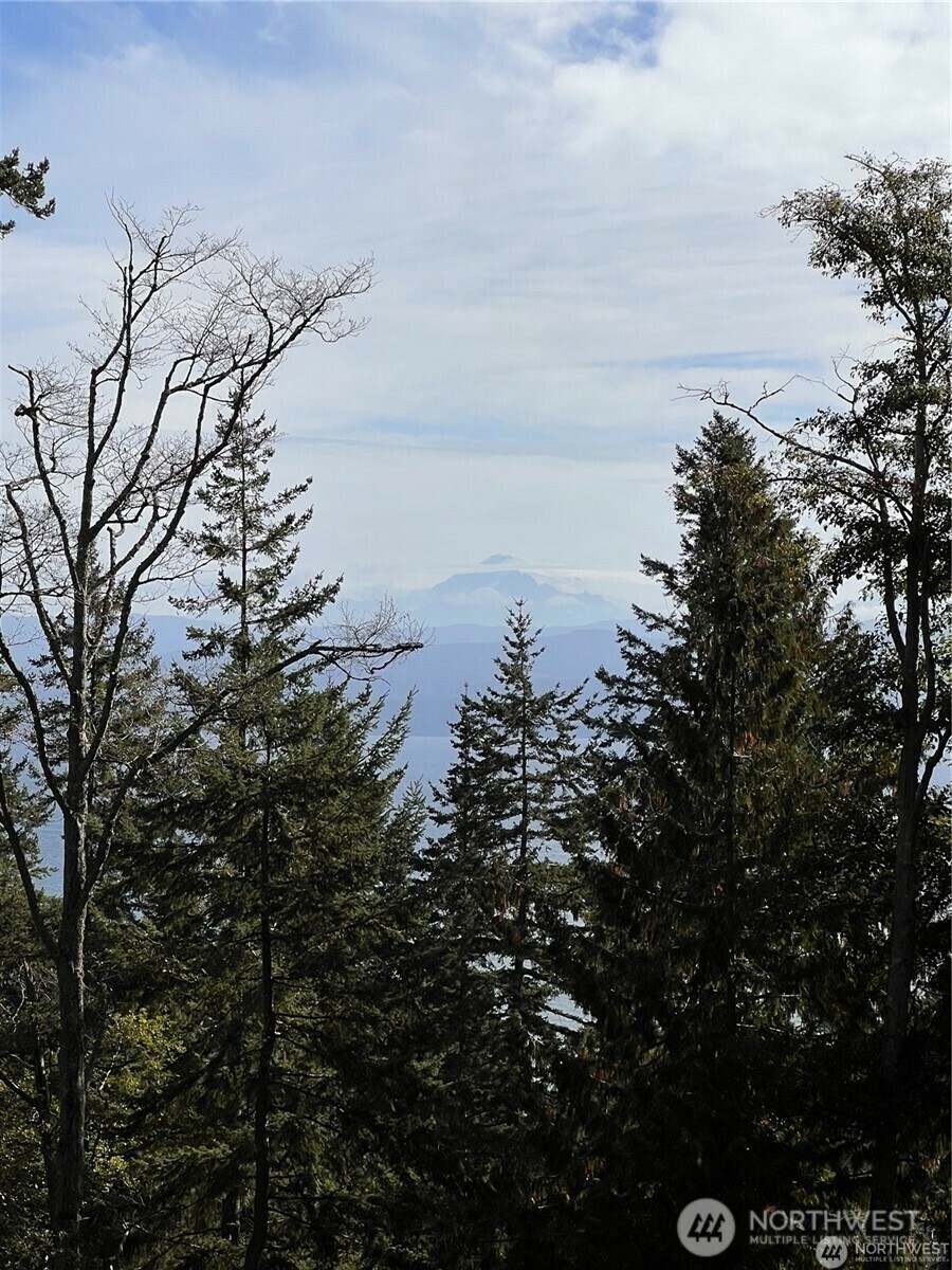 3010  Hales Passage Drive  Lummi Island WA 98262 photo