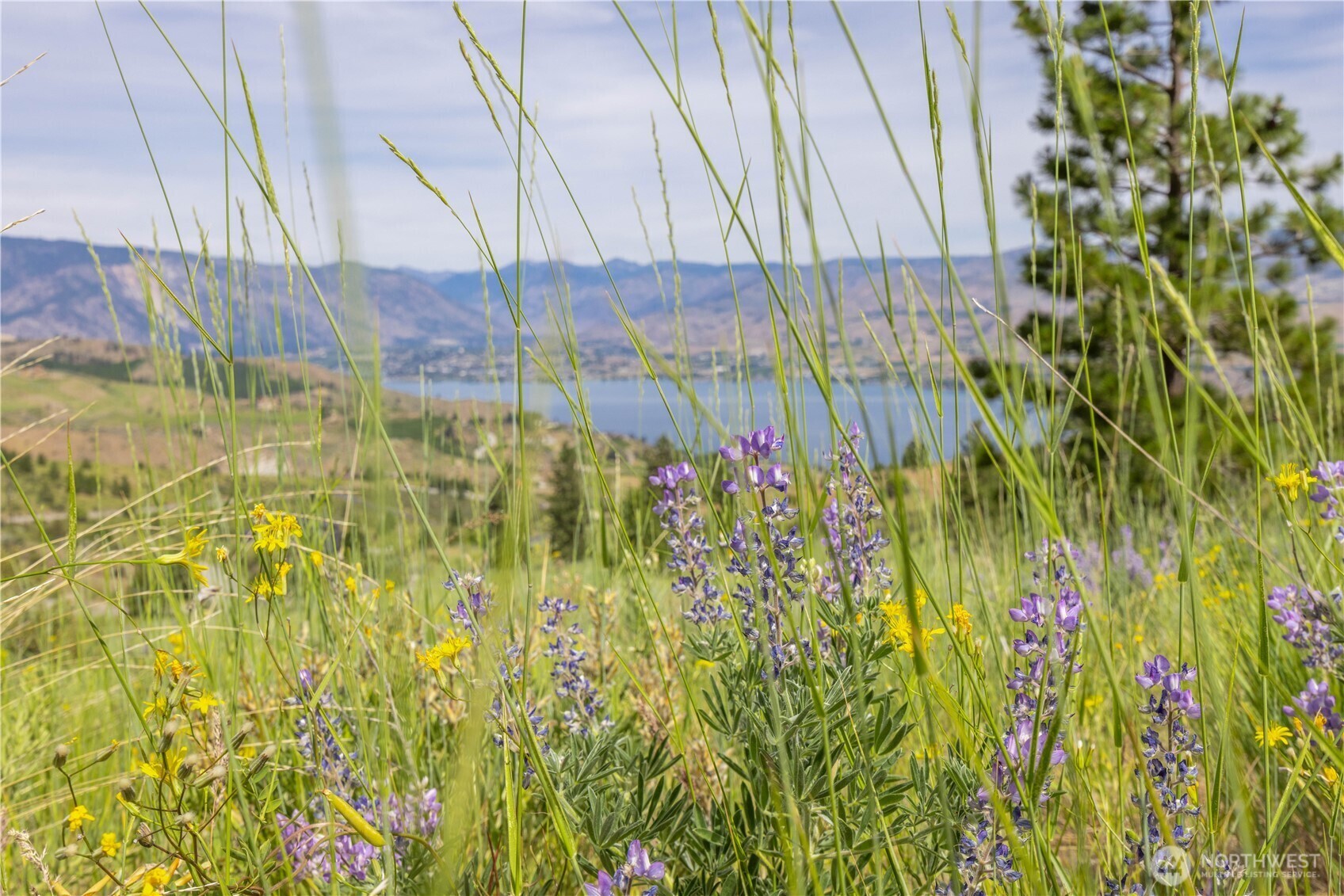 Property Photo: 23 Eagle Crest (Lot 23) Road WA 98816