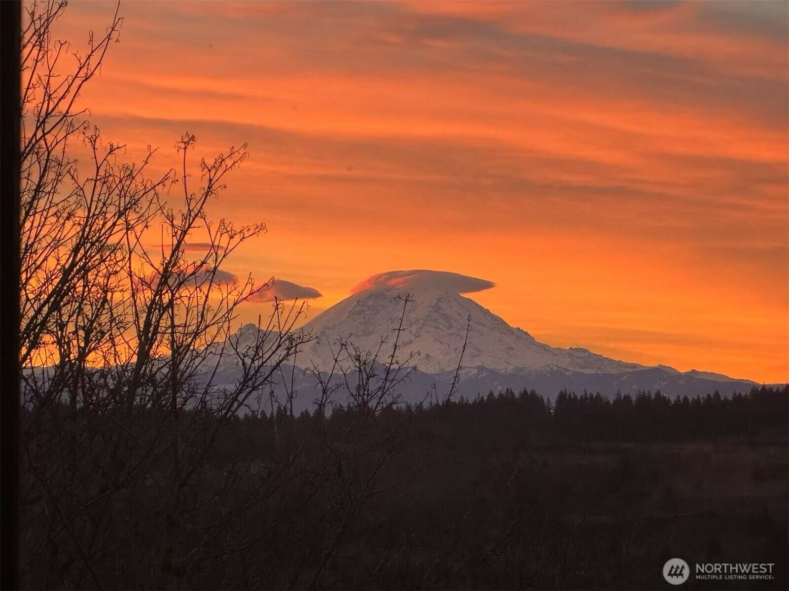 Property Photo: 14635 SE 56th Street WA 98006