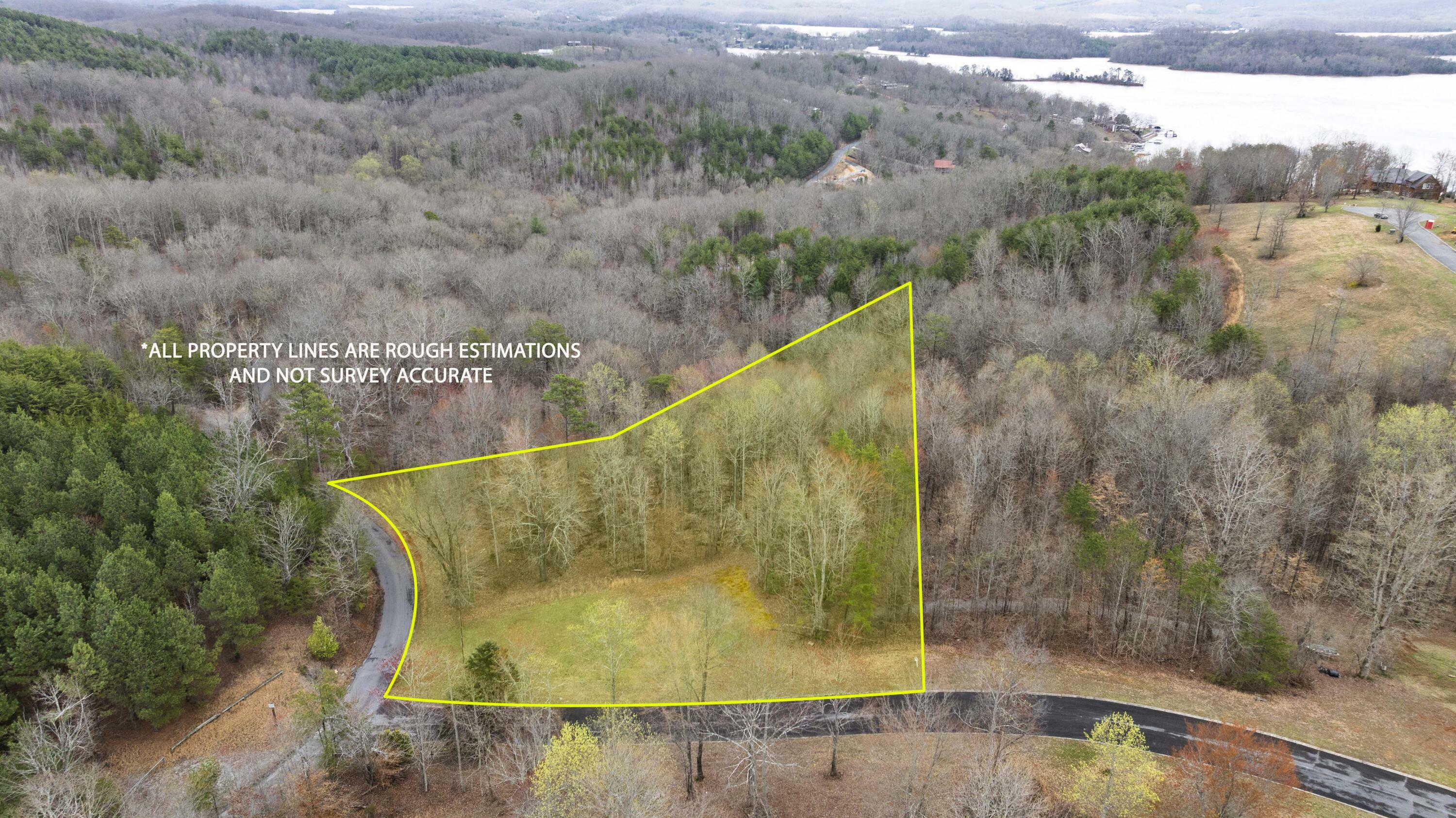 180 Wood Chase Lane  Spring City TN 37381 photo