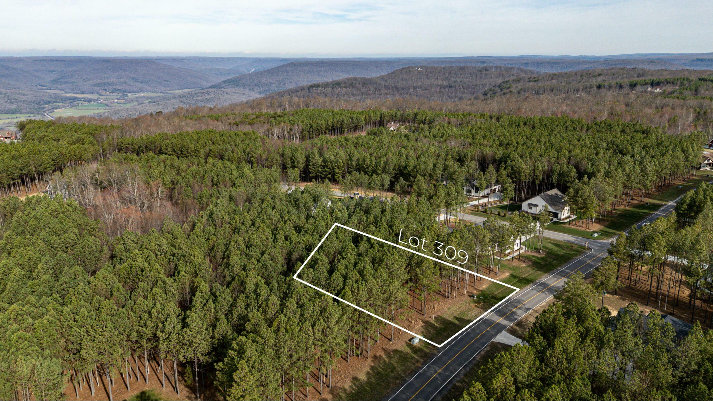 Property Photo: #309 Crockett Pointe TN 37347
