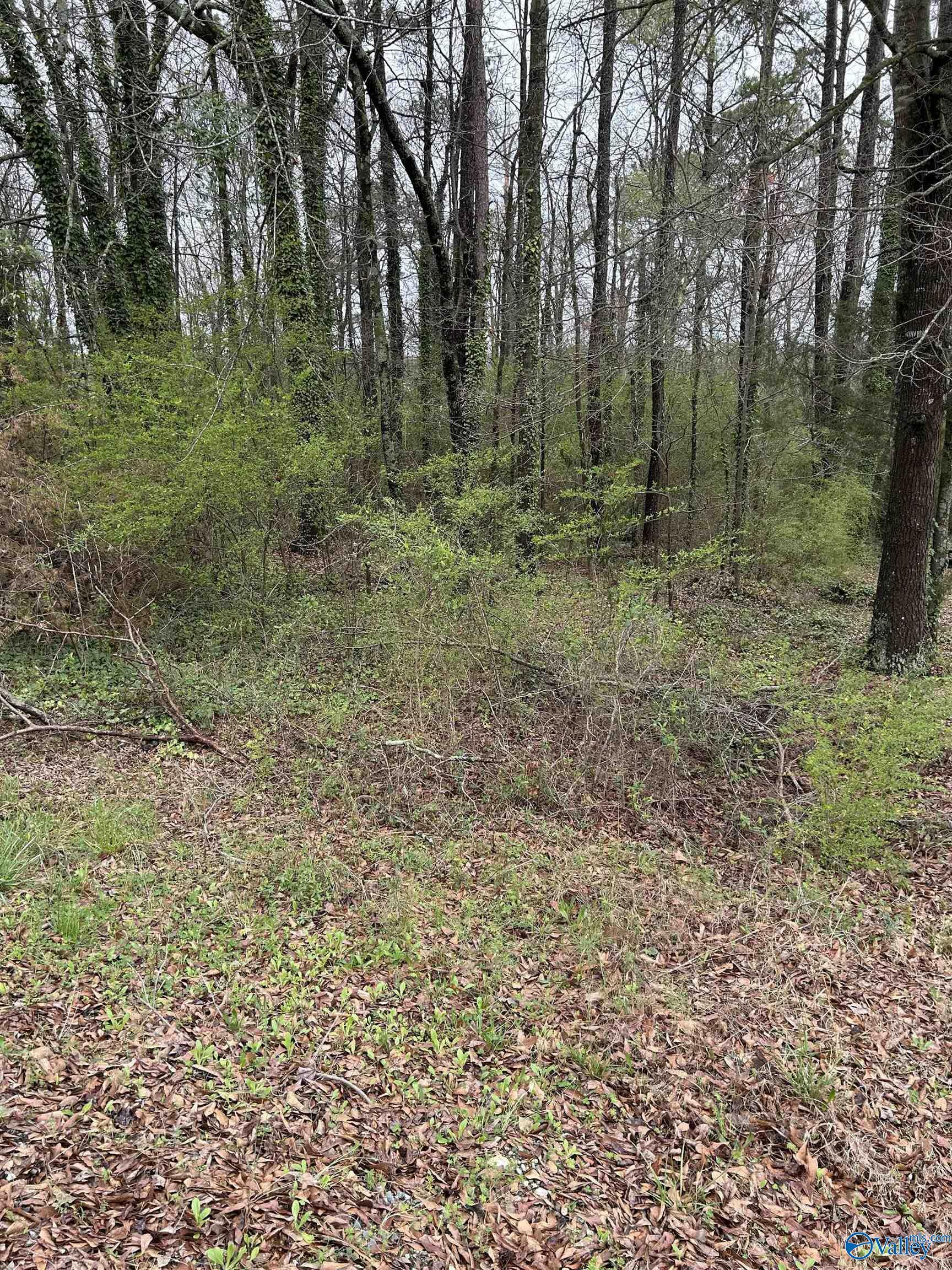 Property Photo: Lot 11, 0.91 Ac Dry Creek Road AL 35049