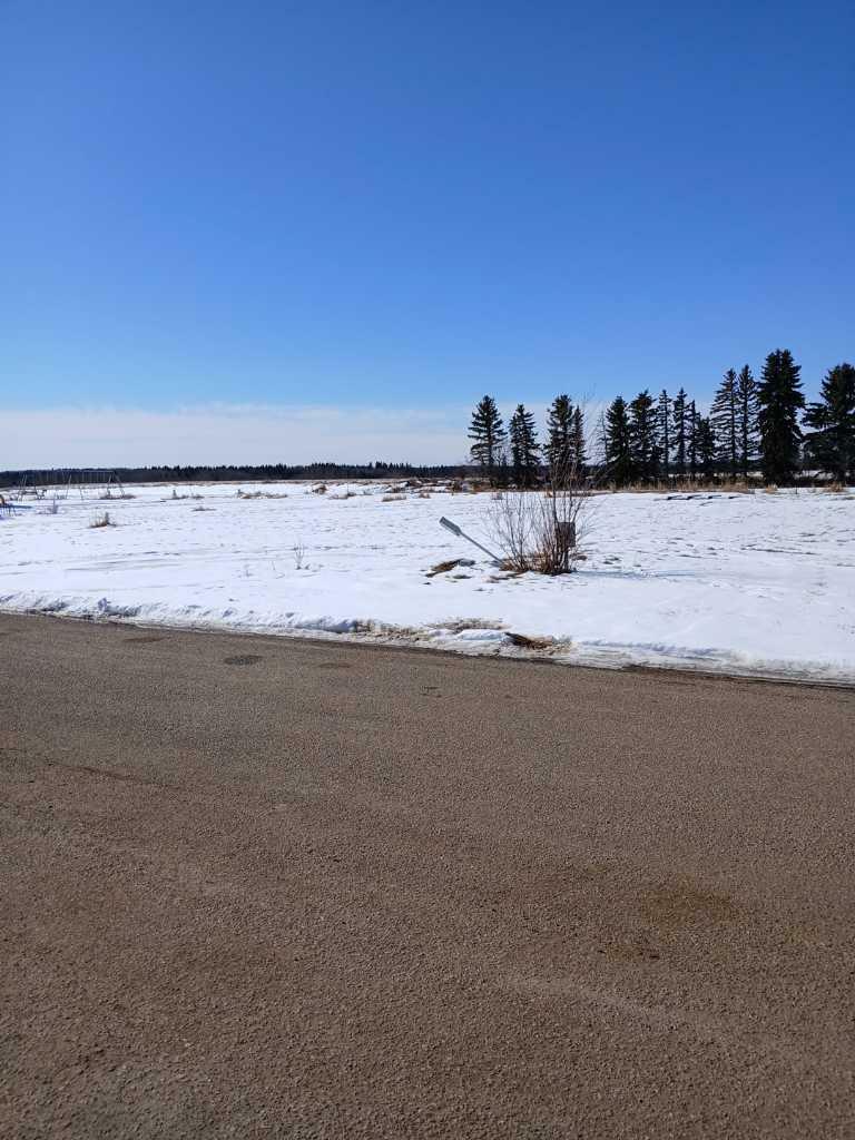 Photo de la propriété:  10209 92 Avenue 114  AB T0A 2C0 