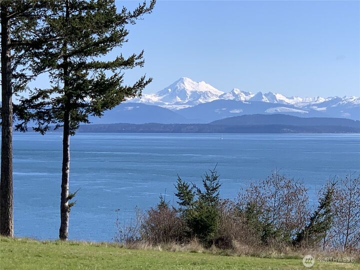 Property Photo:  146  East Meadow Lane  WA 98221 