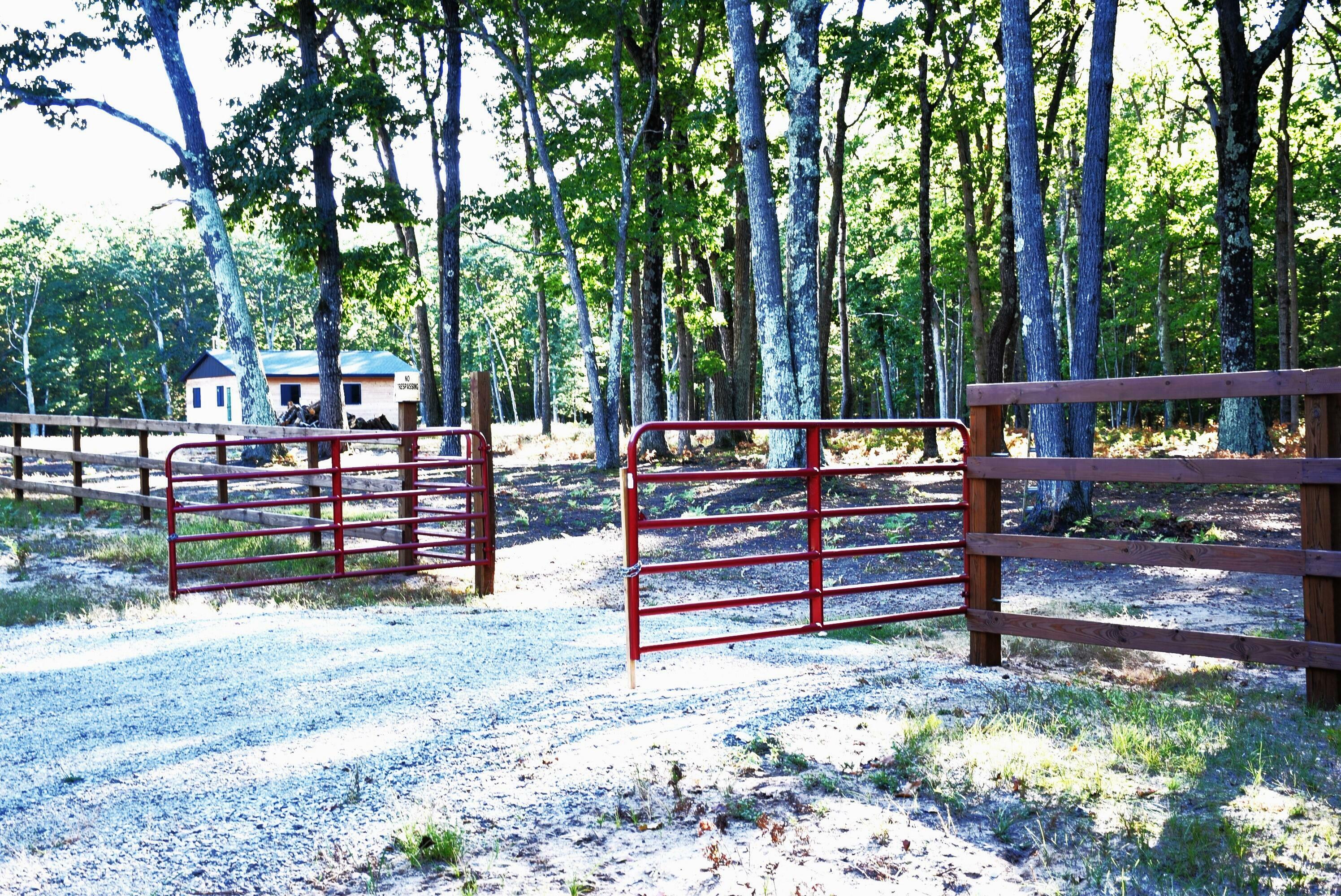 Property Photo: 1289 Service Road MI 49749