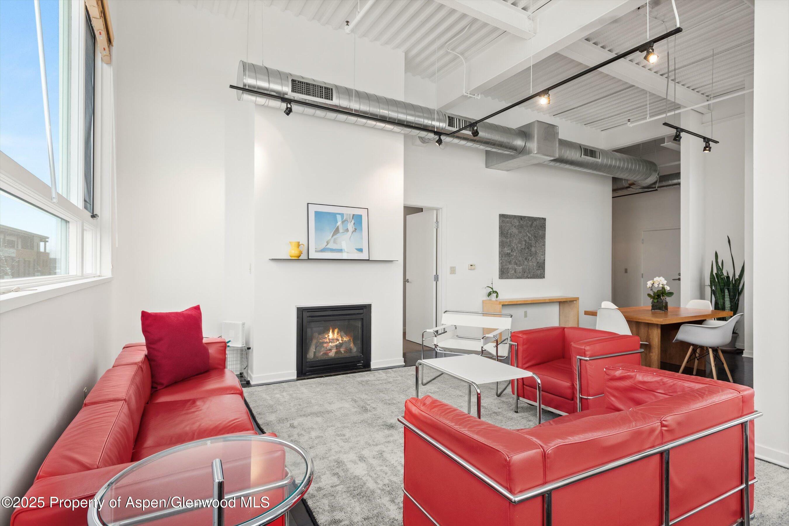 Property Photo: 361 Robinson Street 238 CO 81621