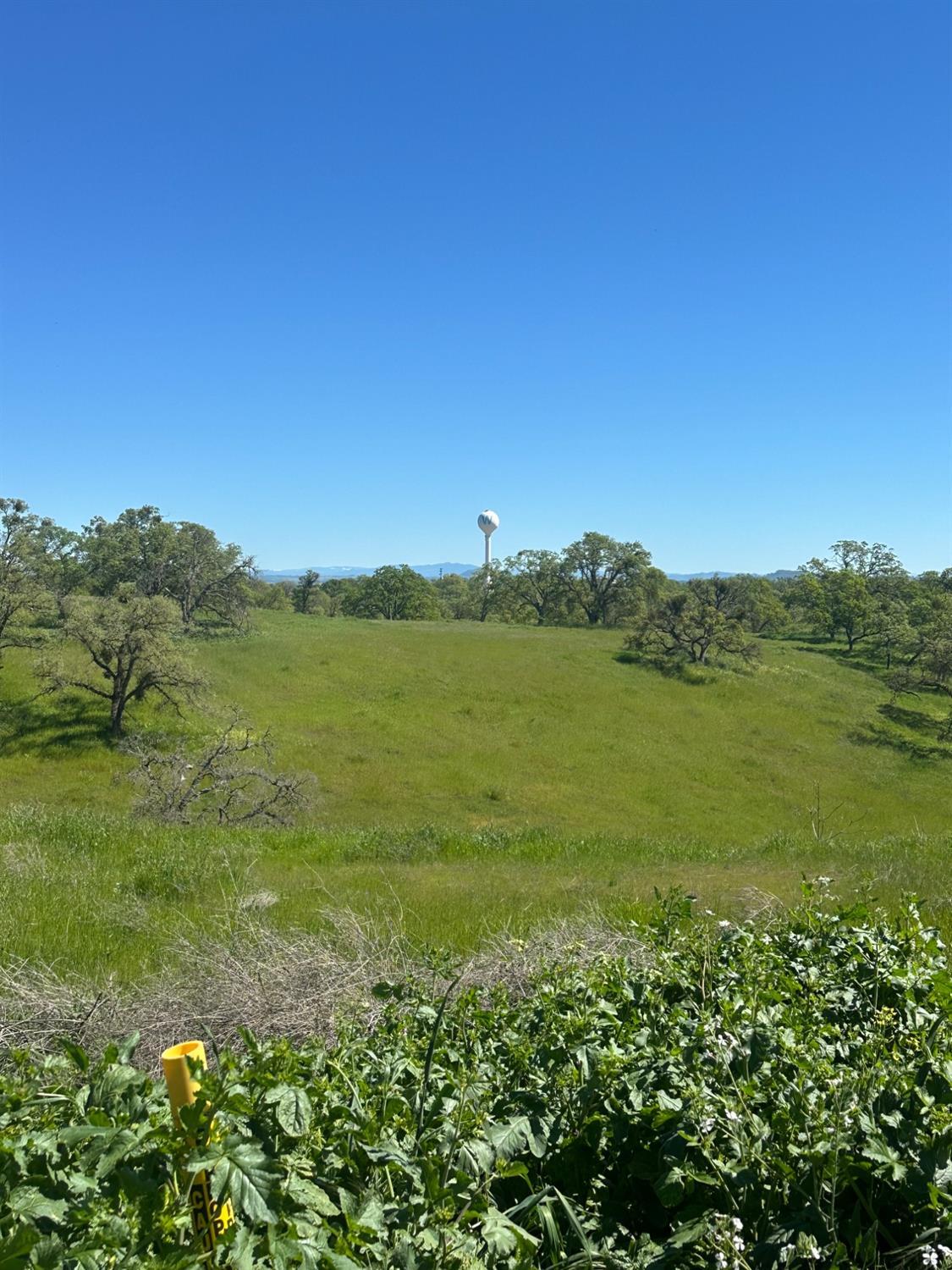 Property Photo: 49 Cormorant Drive CA 95254