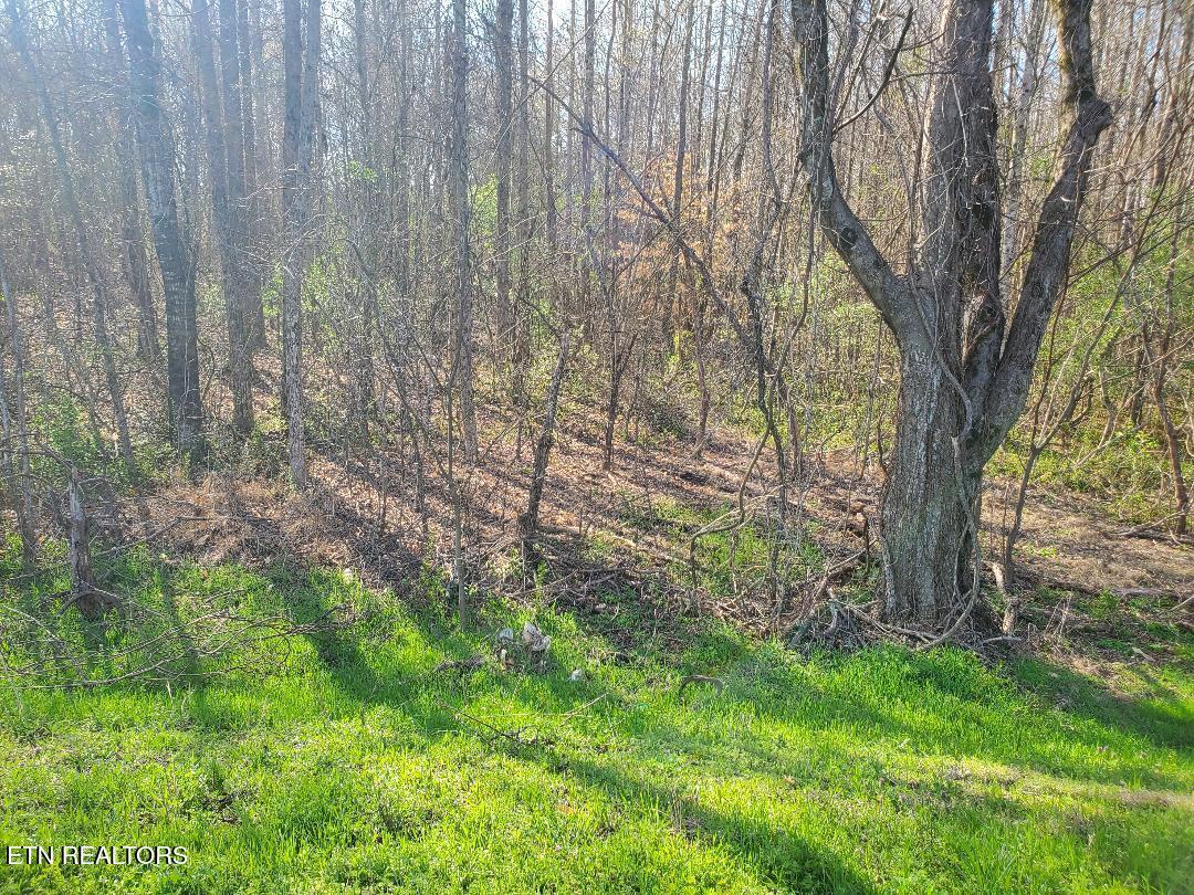 Lot 3 Highway 304  Decatur TN 37322 photo