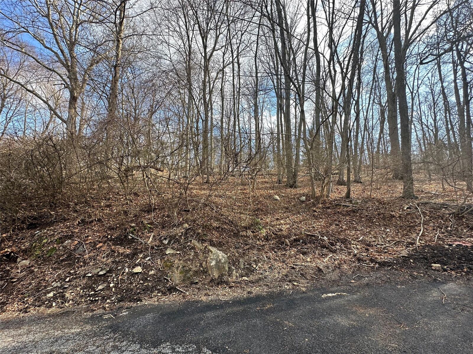 Property Photo:  17 Overlook Way  NY 10578 