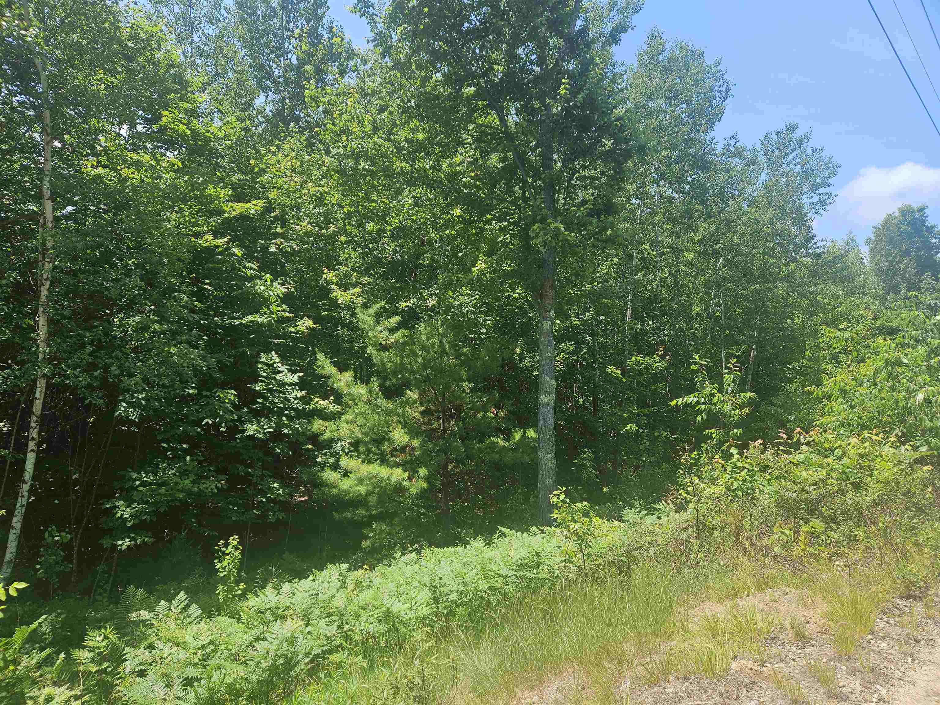 Property Photo: 9 Lady Slipper Lane NH 03254