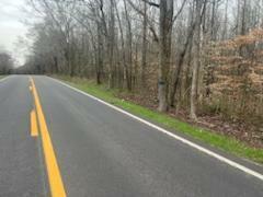 Property Photo: Lot 15 Highway 304 TN 37322