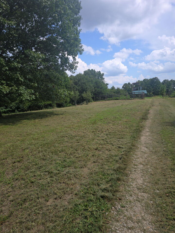 Property Photo:  3450 Reno Hollow Road  MO 65737 