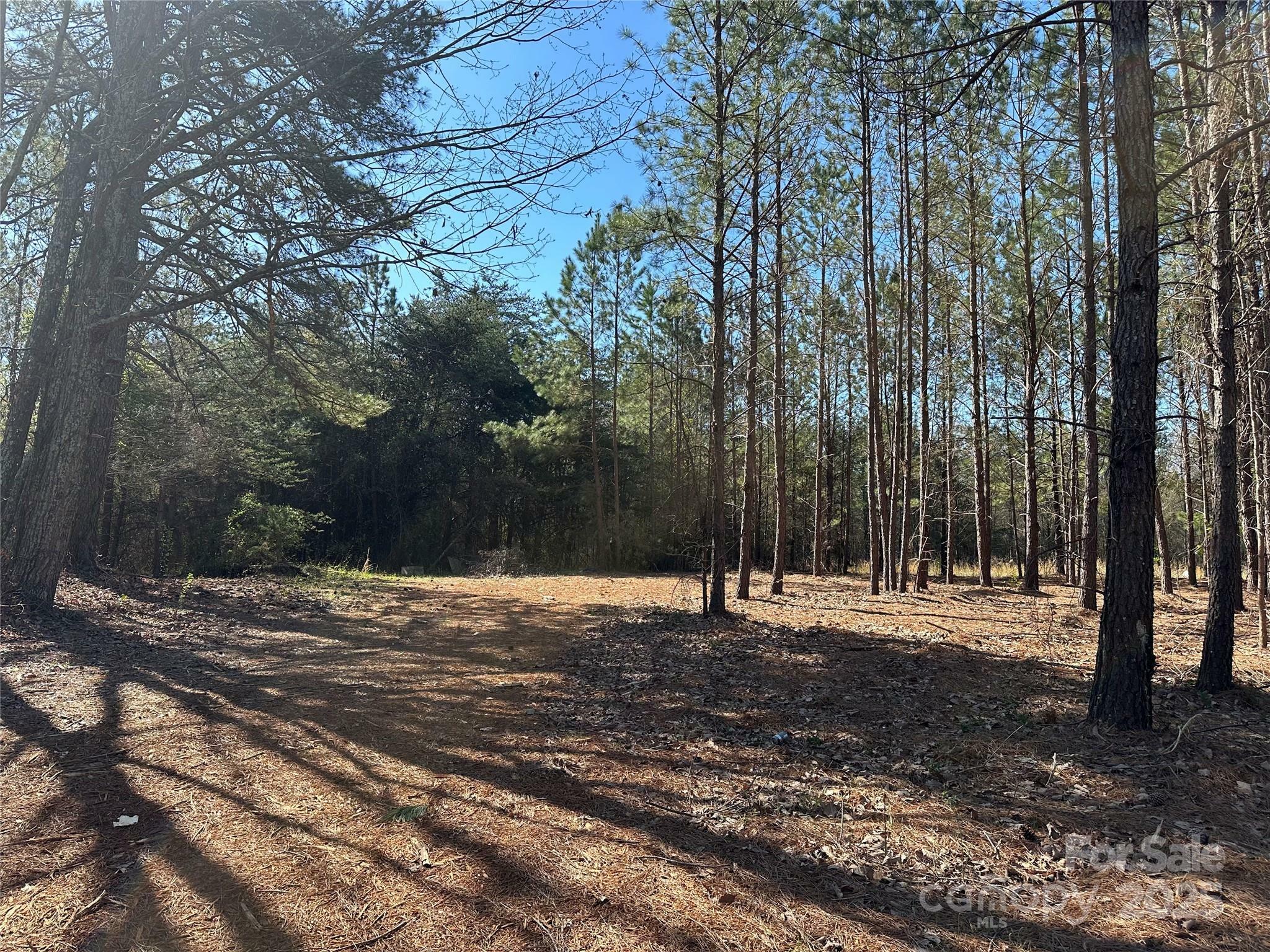 Property Photo: 4281 East Maiden Road NC 28650