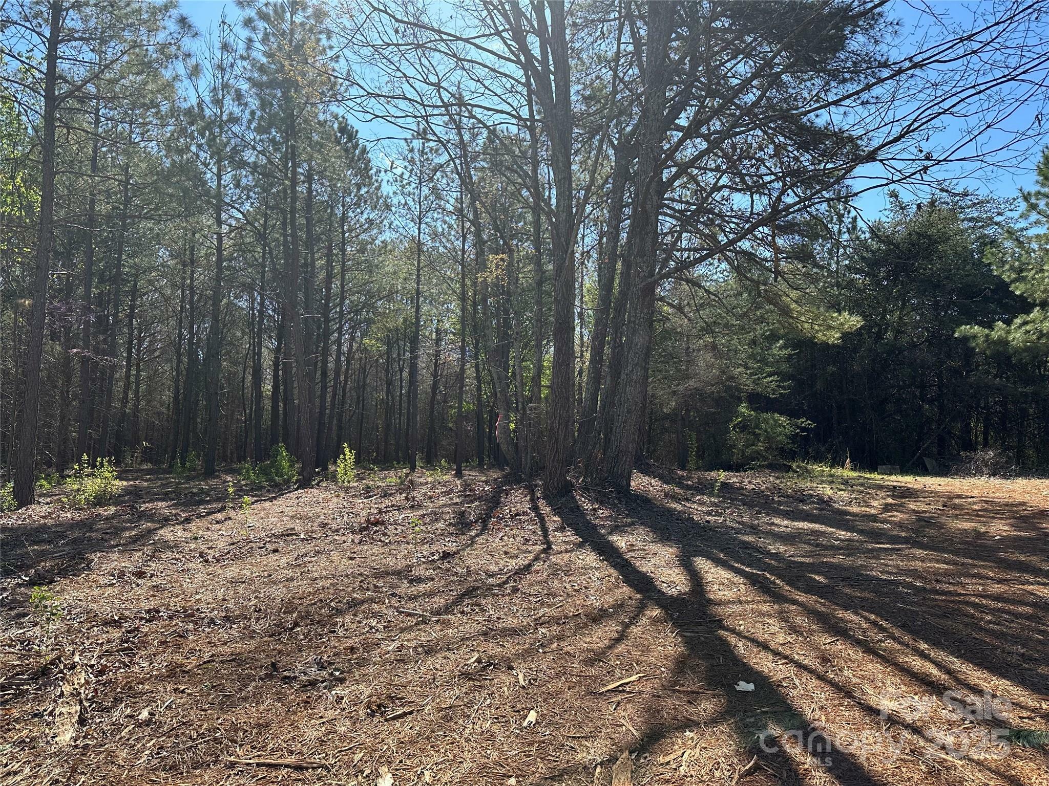 Property Photo: 4313 East Maiden Road NC 28650
