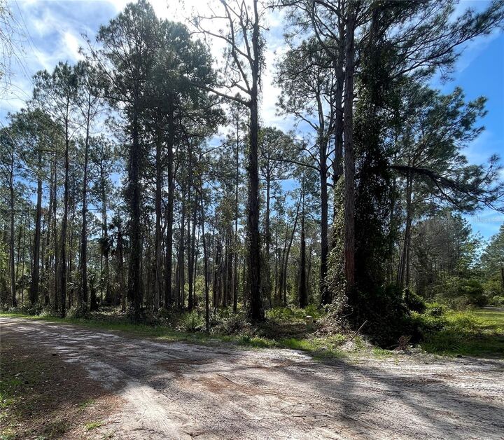 107 Rosewood Street  Georgetown FL 32139 photo