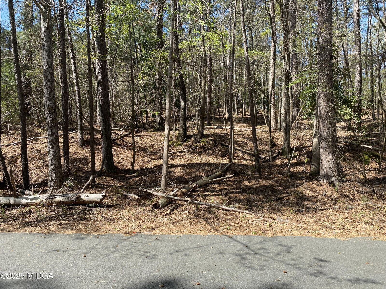 Property Photo:  0 Sandra Drive  GA 31032 