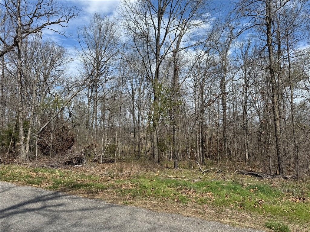 Property Photo:  Tbd Kirkcolm Drive  AR 72715 