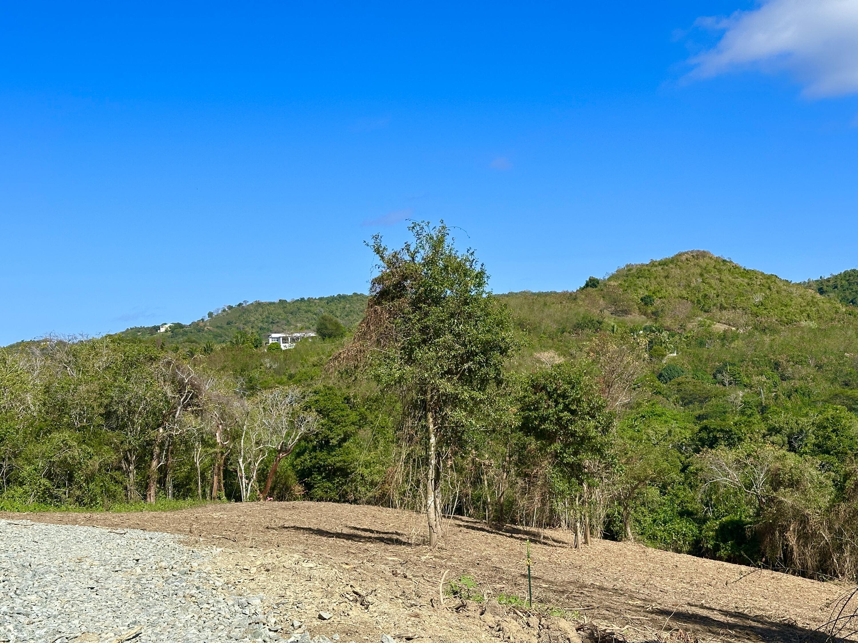 Property Photo: Rem 9A Montpellier Pr VI 00840