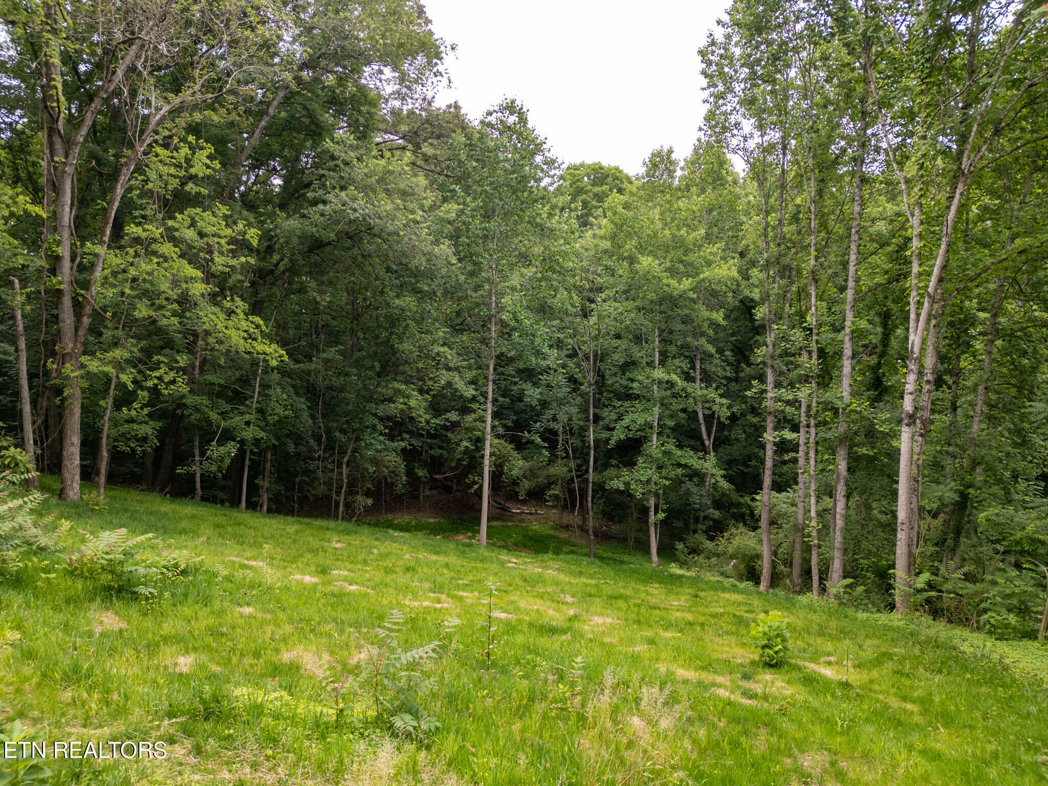 Property Photo: 800 Lake Forest Drive TN 37772