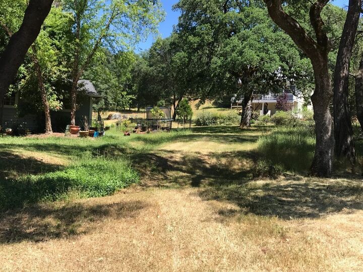 14193 Chestnut Court  Penn Valley CA 95946 photo