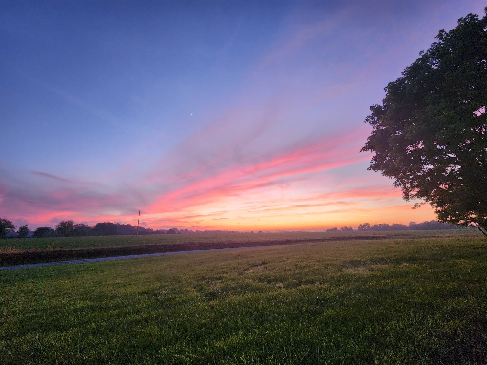 Property Photo:  560 Gregory Rd  TN 37186 