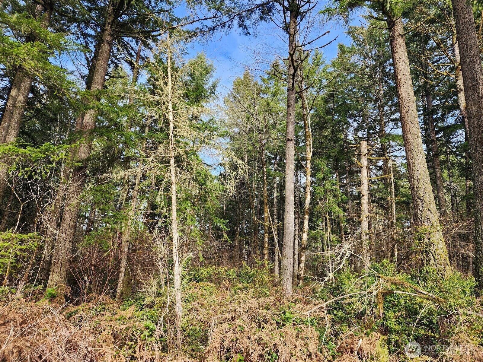 Property Photo:  17 Lot E Big Skookum Road  WA 98584 