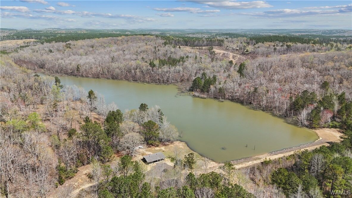 Property Photo: 1758 County Road 80 AL 35555