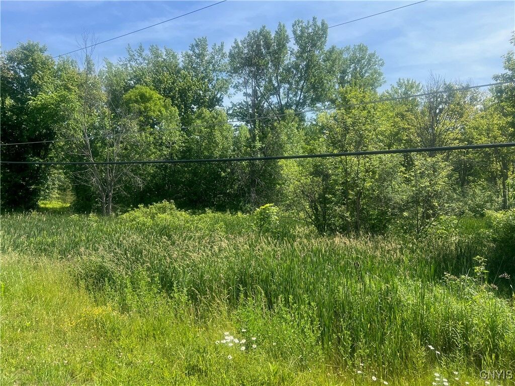 Property Photo:  0 State Route 34 Highway  NY 13033 