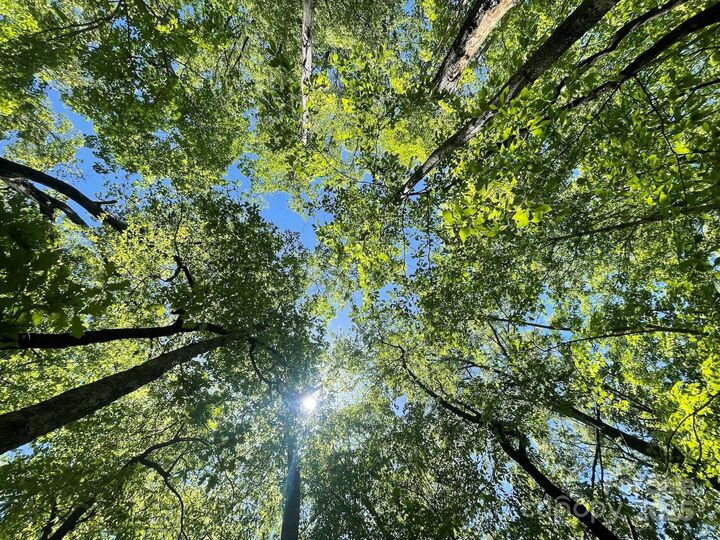 Property Photo: 201 Ironwood Lane T-100 NC 28711