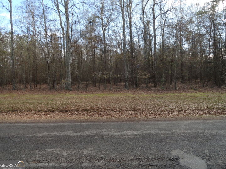 1207 Highway 36 W  Barnesville GA 30204 photo