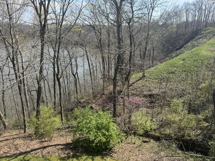 Property Photo:  1124 Lily Creek Resort Road  KY 42629 
