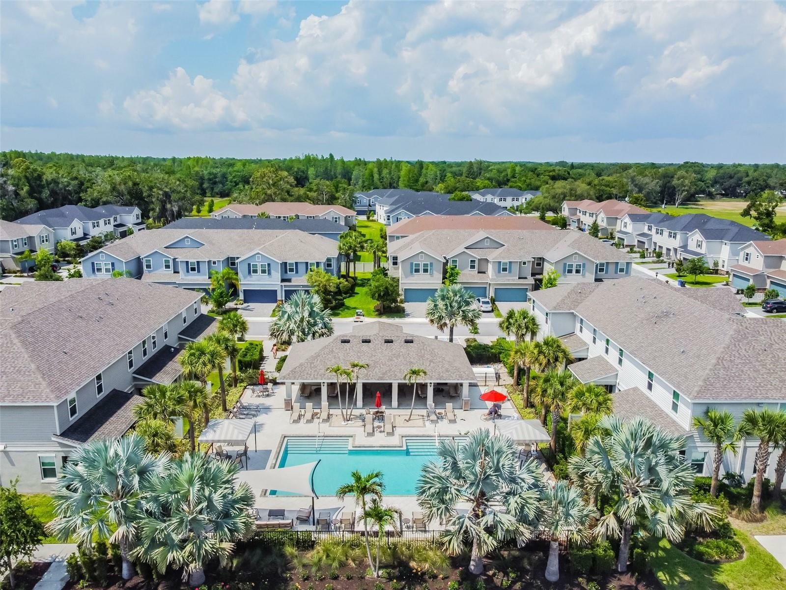 Property Photo: 1018 Rose Blossom Court FL 33613