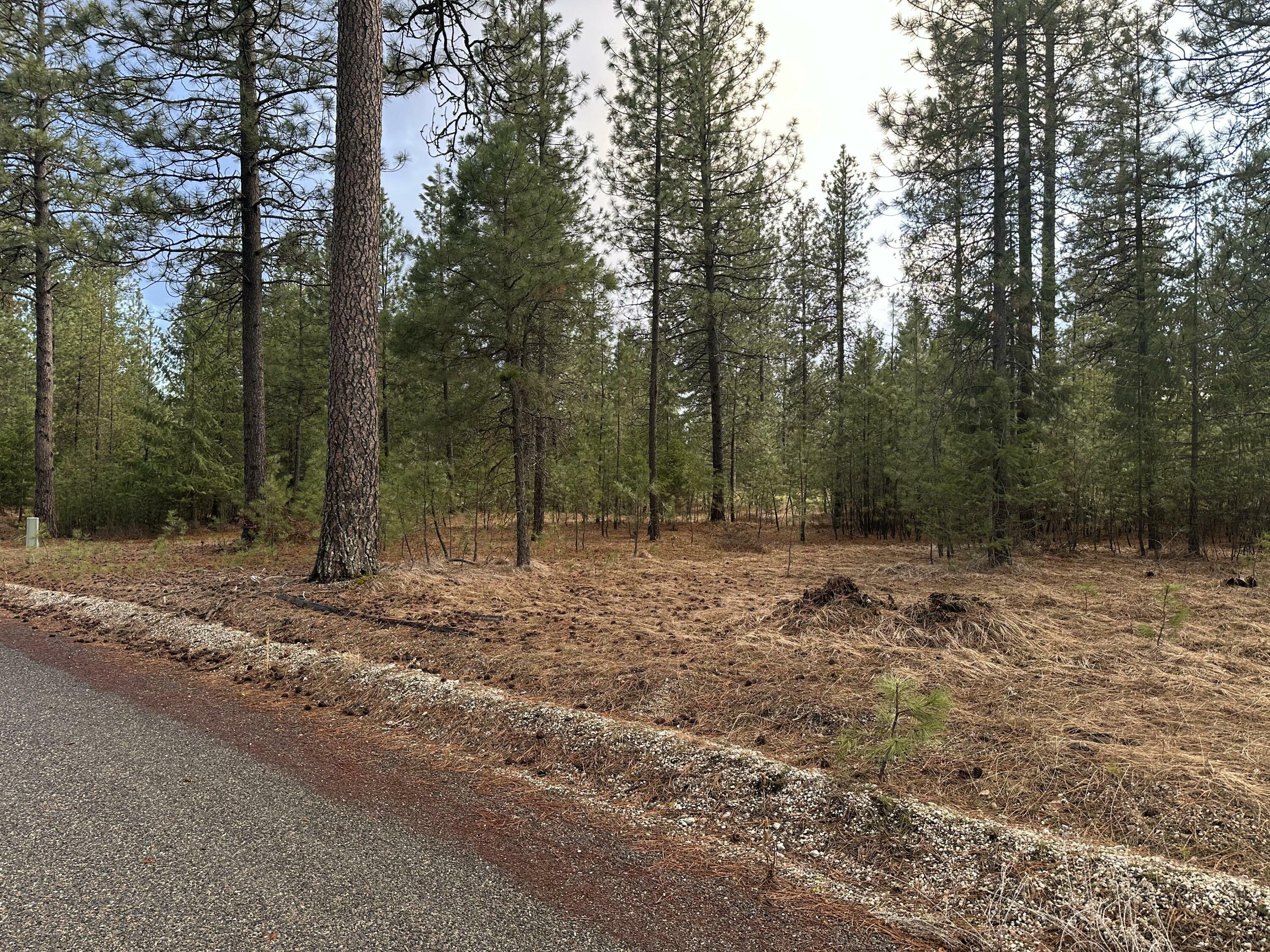Property Photo: Lot 27 Palmer Ln WA 99109