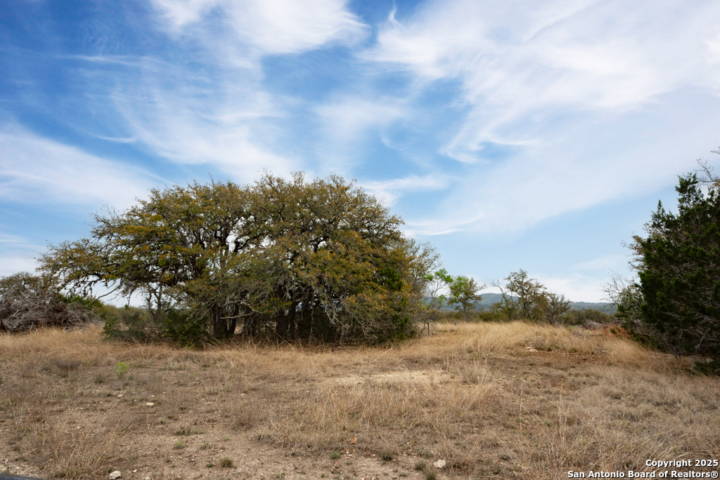 Property Photo: 4715 S Hwy 16 TX 78003