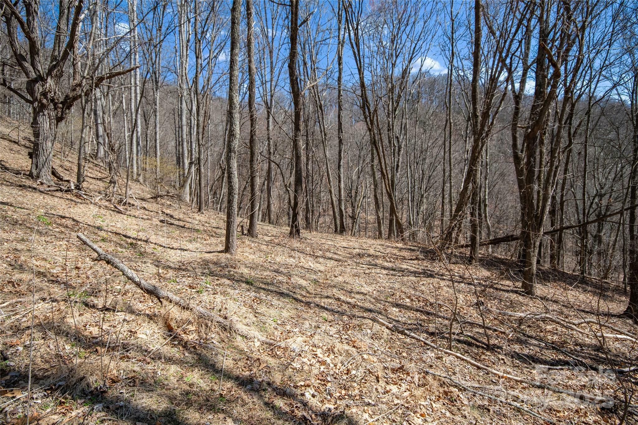 99999 Robinson Cove Road Pt 5  Leicester NC 28748 photo