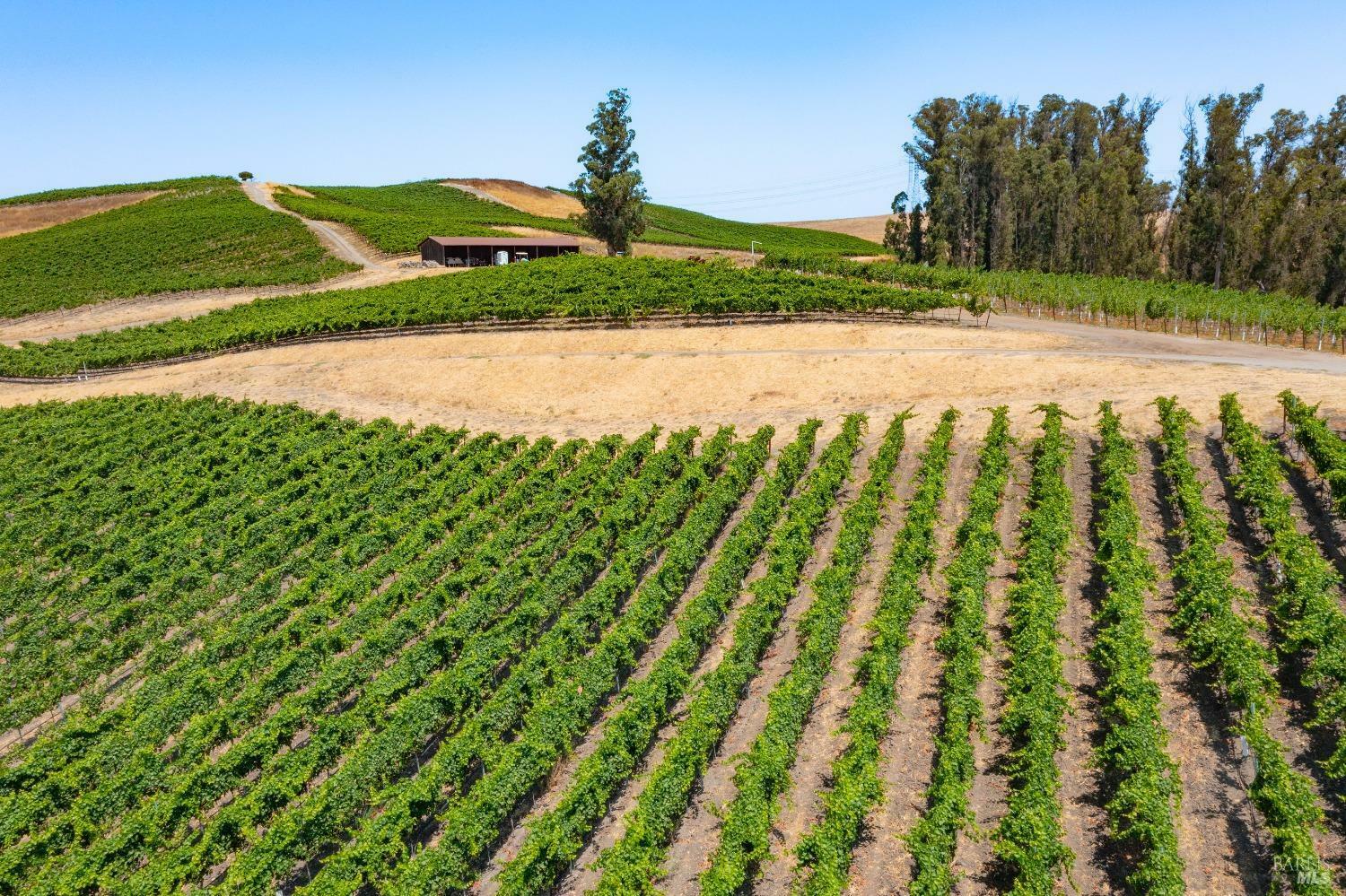 Property Photo: 6509 Lakeville Highway CA 94954