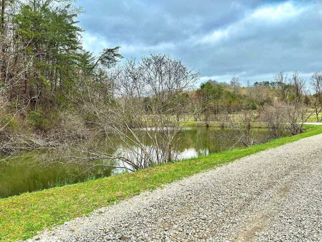 Property Photo: 8424 Johnson Rd Road KY 40741