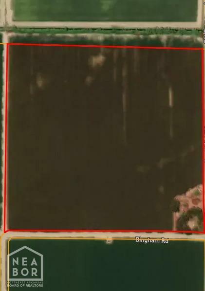 39 Old Payneway  Trumann AR 72472 photo