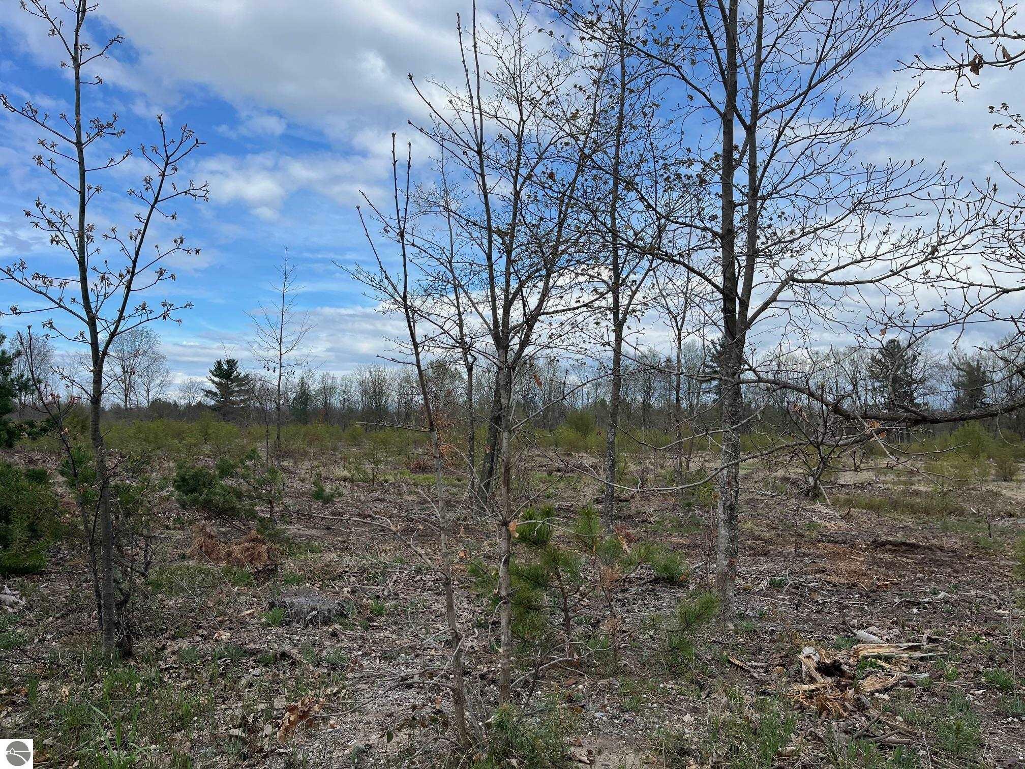 Property Photo:  Carmean Road  MI 49640 