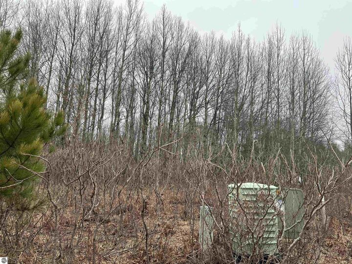 Property Photo:  Lot 20 Crestview Drive  MI 49601