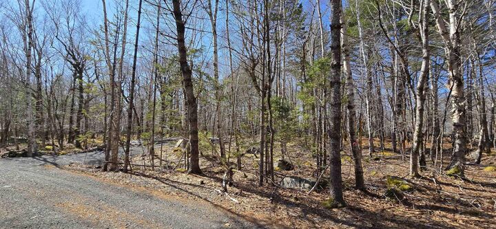 Property Photo:  69 Sparkling Spring Lane  NS B0T 1E0 