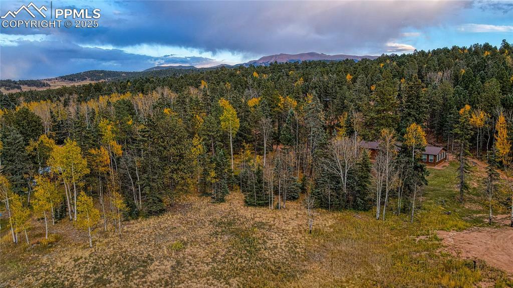Property Photo: 166 Denwood Drive CO 80816